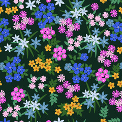 Fototapeta na wymiar seamless pattern with meadow flowers