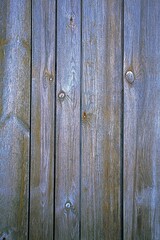 Fototapeta premium Deski