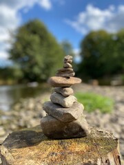 Stone tower nature vacation throw