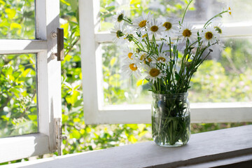 Bouquet of daisies in  jar on windowsill