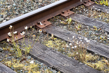 Side view of a old train track plate, spikes, rail and sleepers