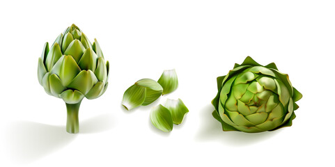 artichoke realistic 3d vector illustration set. Shiny, glossy artichokes side wiew isolated on whive background. Cutted artichoke leafs petals. Perfect for menue, eco, bio, diet symbol of freshness