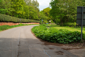 Deserted village road example