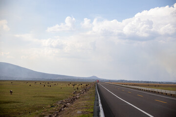 Michoacan, Mexico 06-07-2021, Lake Cuitzeo in Michoacán Mexico is the second largest body of water in Mexico and the number four in the world is currently dry due to lack of rain.