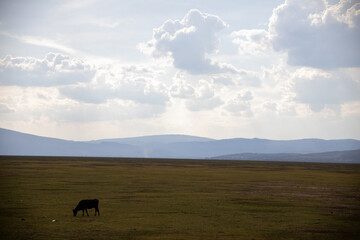 Michoacan, Mexico 06-07-2021, Lake Cuitzeo in Michoacán Mexico is the second largest body of water in Mexico and the number four in the world is currently dry due to lack of rain.