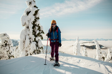 Person snowshoeing on pot of a mountain