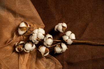 Cotton branch on brown tulle and linen fabrics seen