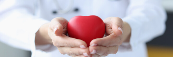 Female doctor holding red toy heart in her hands closeup