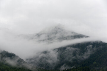 una collina con una foresta coperta dalle nuvole basse in una giornata piovosa in un paese delle dolomiti, il verde colore del bosco di conifere ed il bianco contrasto della nebbia e delle nuvole bass