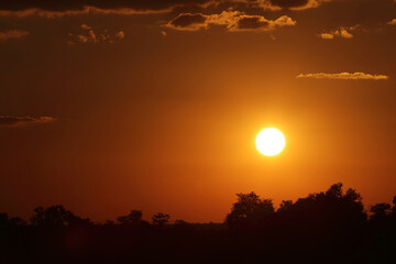 Sonnenuntergang Krüger Park Südafrika / Sundown Kruger Park South Africa /