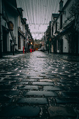 Fototapeta premium 22 January 2021 Ashton Lane Glasgow during covid-19 Lockdown January 2021