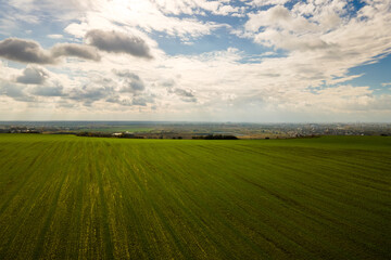 Aerial view of bright green agricultural field in early spring.
