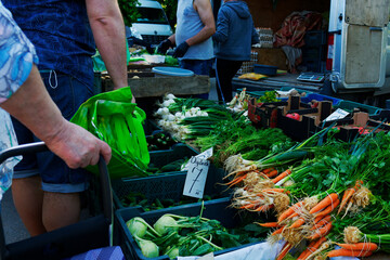 Poland, Warsaw, June 2021. Vegetable market where farmers sell crops straight from their cars. An elderly woman in a mask cause of the covid-19 pandemic reaches for a bunch of green dill.