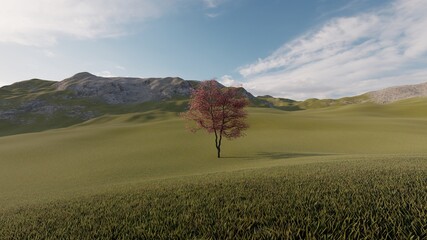 alone tree at grassland