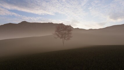 alone tree at grassland