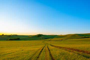 The road through the field to the mountains.