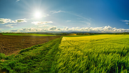 Gerstenfeld, Feld, Gerste, Rhön, Bayern, Deutschland © aBSicht