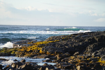 Volcanic rocky shore near ocean in Hawaii with negative space for text