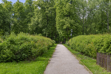 A path for pedestrians to walk in a green city park in the summer daytime