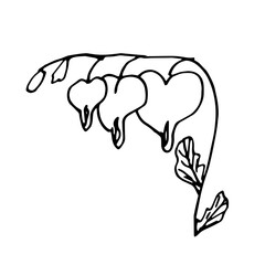 Hand drawn vector illustration of blooming flower. Logo design element for summer collection.