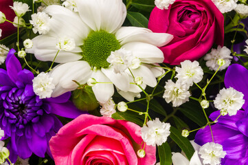 Background for a greeting card - beautiful gift bouquet of various colorful decorative summer flowers