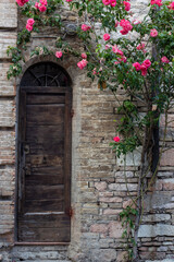 Fototapeta na wymiar Mediterranean historical old door surrounded by romantic pink roses. Fairy tale theme. Assisi, Umbria, İtaly.