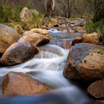 Mini cascading waterfall in forest