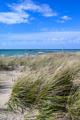 Fototapeta na wymiar Beachgrass along sand dunes on Lake Michigan shoreline