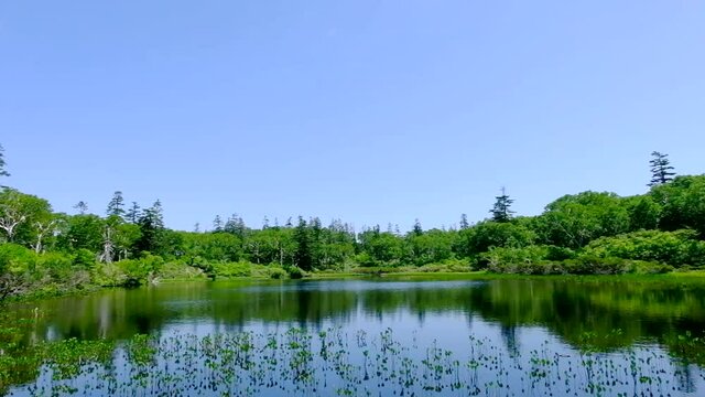 青ぞ高い初夏の神仙沼　北海道神仙沼７月