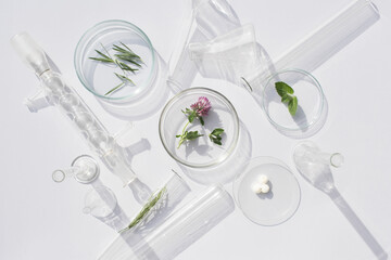 Natural medicine, cosmetic research, bio science, organic skin care products. Petri dish on white...
