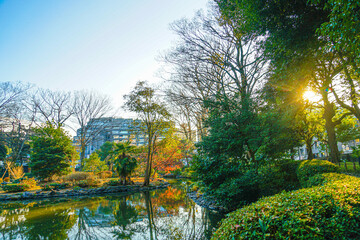 有栖川公園と紅葉