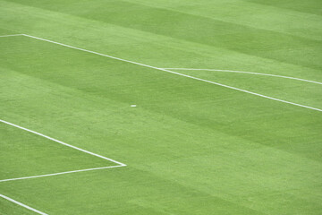 Fototapeta premium Green football field with nobody