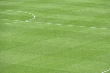 Green football field with nobody