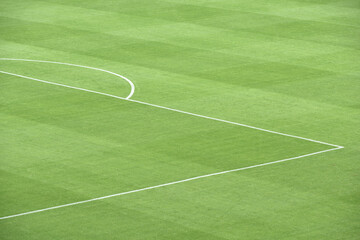 Fototapeta premium Green football field with nobody
