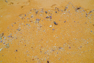 パッタヤービーチの波打ち際（タイ王国）