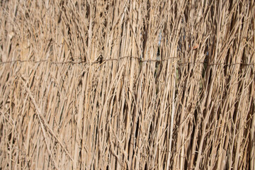San Pedro de Atacama, pueblo turístico en medio del desierto