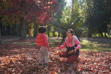 Woman and child play in the middle of the forest. Mother and child throw leaves as they play