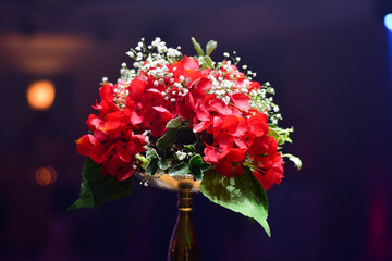 bouquet of red flowers