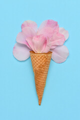 Pink Rose petals in an Ice Cream Cone