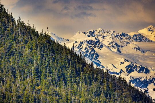 Early evening view of beautiful spruce-forest -covered mountains and snow-covered mountings in the Chugach mountains of Alaska.  Picture taken from Prince William Sound.