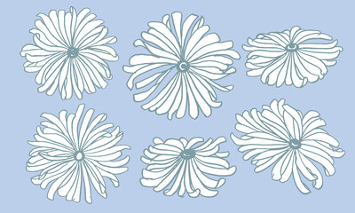 夏カラー手描きガーベラの花線画イラスト Summer color hand-painted gerbera flower line drawing illustration vector