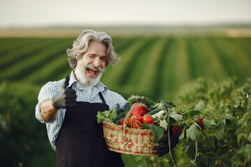 Fototapeta premium Senior with box vegetables garden background sunse