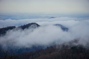 fog over the mountains