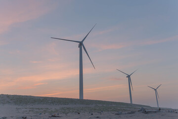 風力発電の風車群