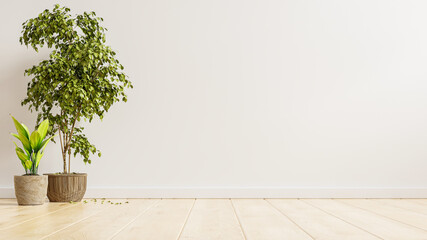 White wall empty interior room with plants on a floor.