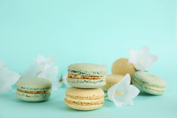 Fototapeta na wymiar Delicious macarons and white bellflowers on light blue background, space for text