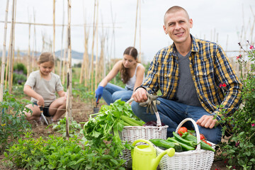 Portrait of man gardener with harvest of vegetables and greens in basket in garden