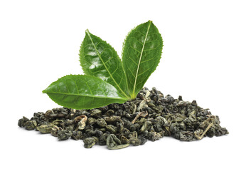 Dry green tea and fresh leaves on white background