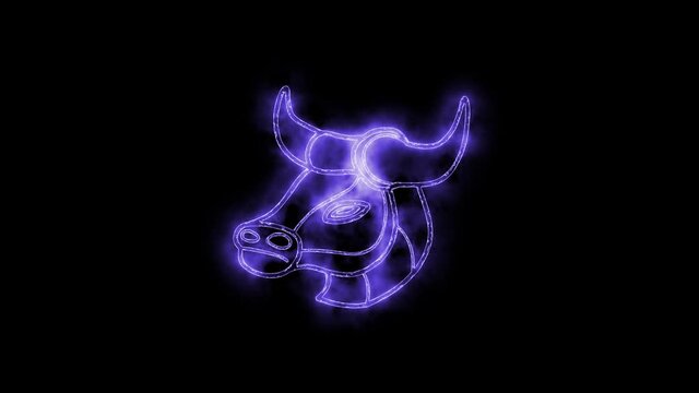 The Taurus zodiac symbol animation, horoscope sign lighting effect purple neon glow. Royalty high-quality free stock of Taurus isolated on black background. Horoscope, astrology icons motion