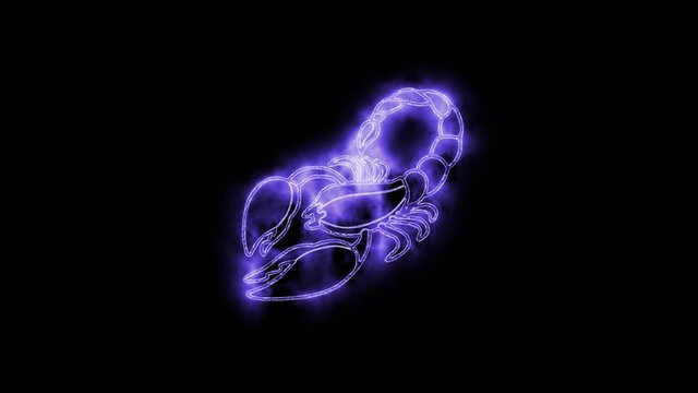 The Scorpio zodiac symbol animation, horoscope sign lighting effect purple neon glow. Royalty high-quality free stock of Scorpio isolated on black background. Horoscope, astrology icons motion